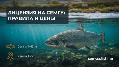 Лицензия на ловлю сёмги в России: где получить и сколько стоит