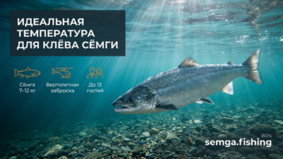 Температура воды и клёв сёмги: при каких градусах лосось наиболее активен