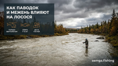 Уровень воды в реке: как паводок и межень влияют на поведение лосося