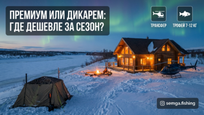 20. Премиум против «дикаря»: где на самом деле дешевле за сезон