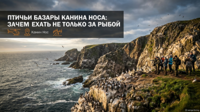 53. Птичьи базары Канина Носа: зачем туда едут не только рыбаки