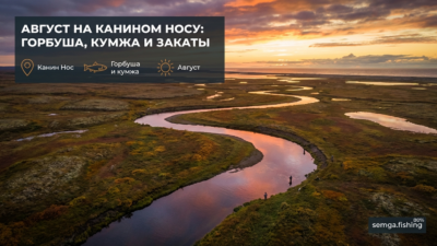 Август на Канин Носе: горбуша, кумжа и закаты над тундрой
