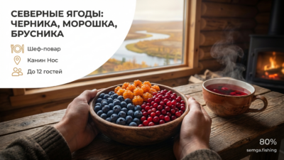 Черника, морошка, брусника: ягоды севера и что с ними делать
