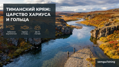 Тиманский кряж: древний хребет, реки которого полны хариуса и гольца