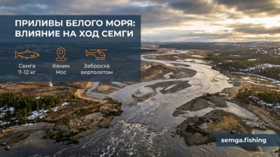 Приливы и отливы Белого моря: как они влияют на заход лосося в реки