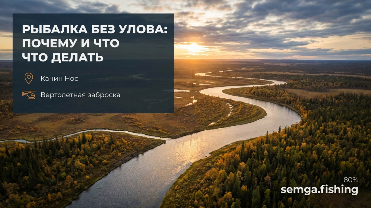 Не поймал ни одной рыбы за весь тур: почему это случается и что делать